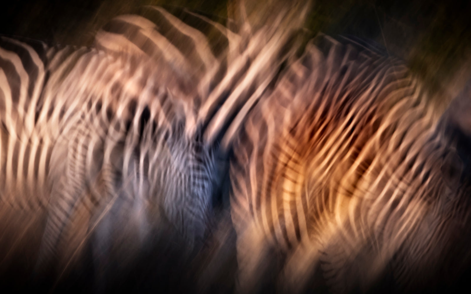 Dazzle II