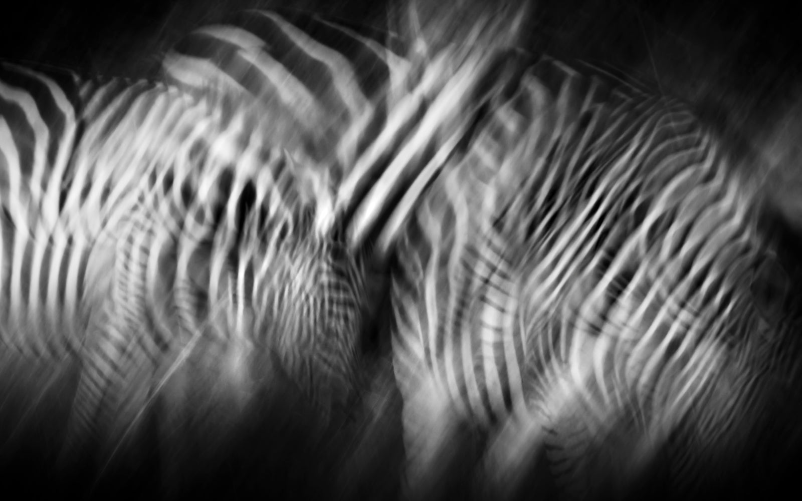 Dazzle I