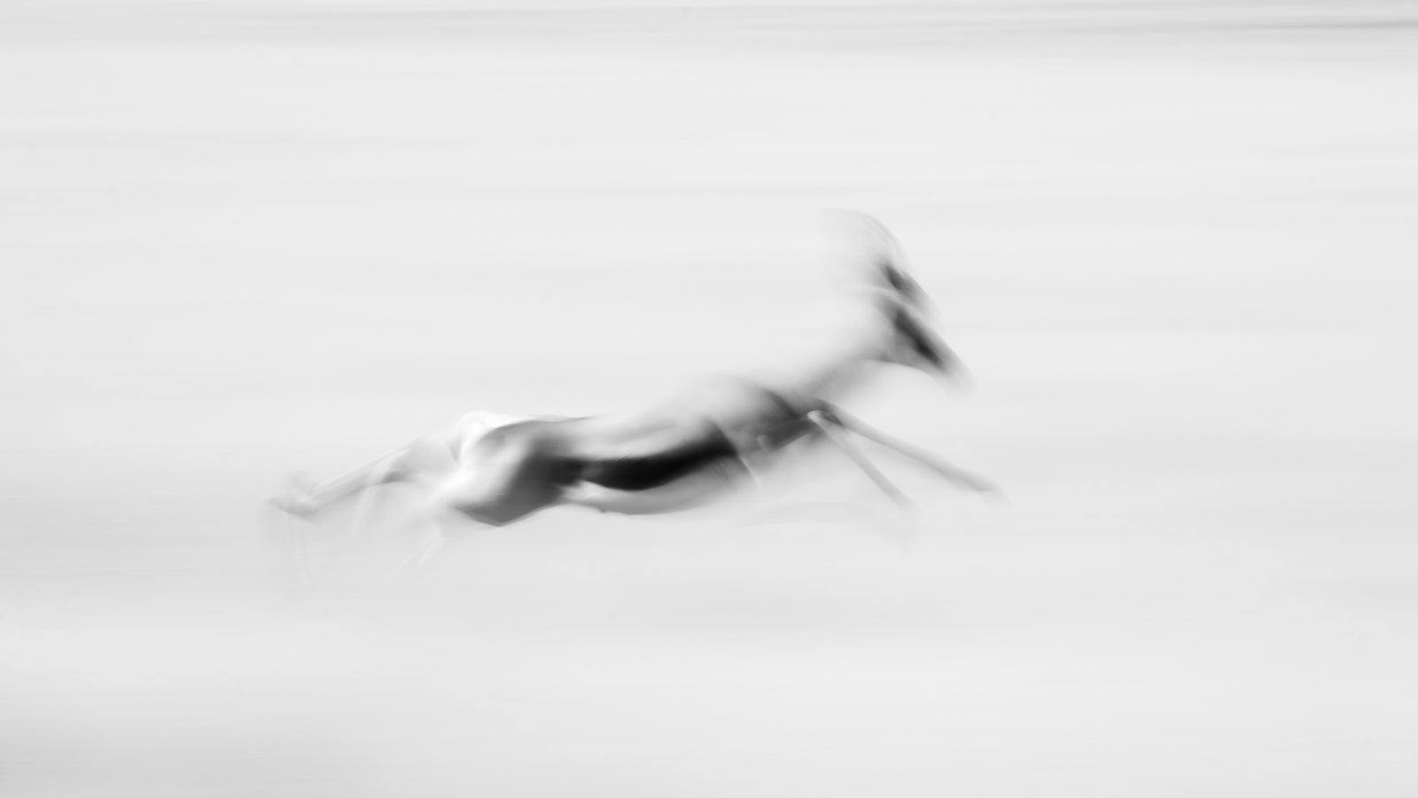 Breakaway