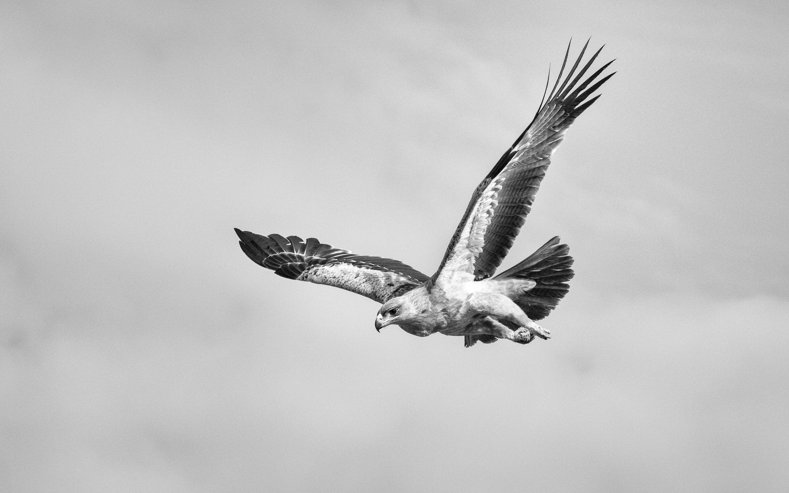 Open Skies