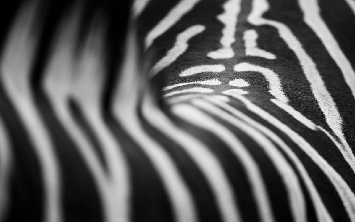Fingerprints of Africa