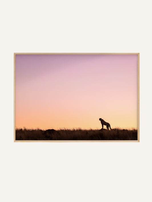 Last Light