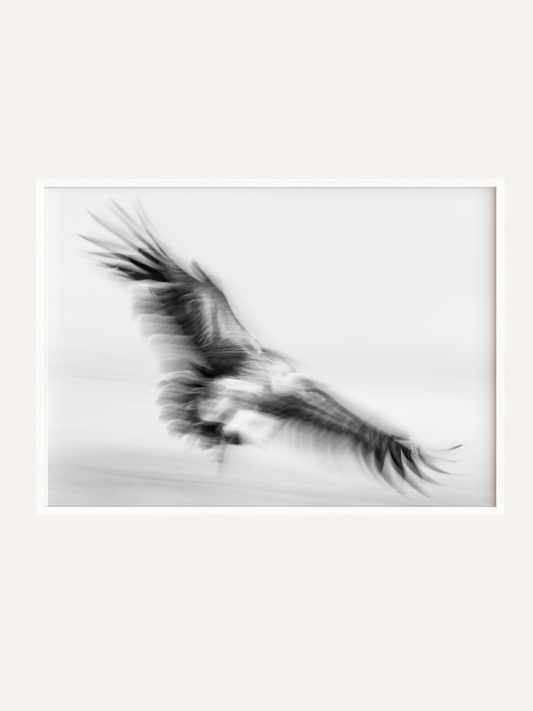 Landing
