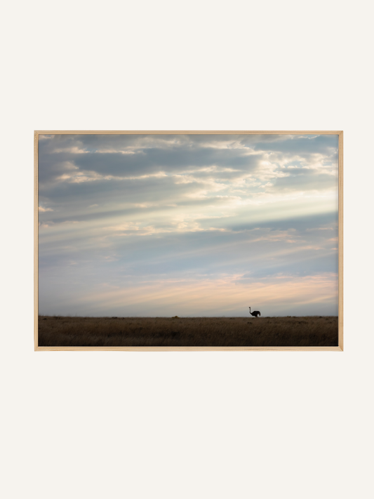 Open Plains