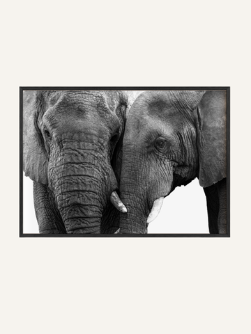Side by Side