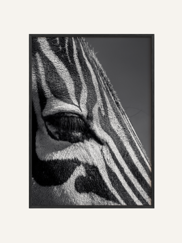 Tribal
