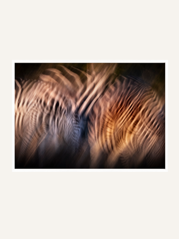 Dazzle II