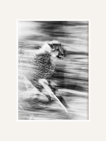 Velocity