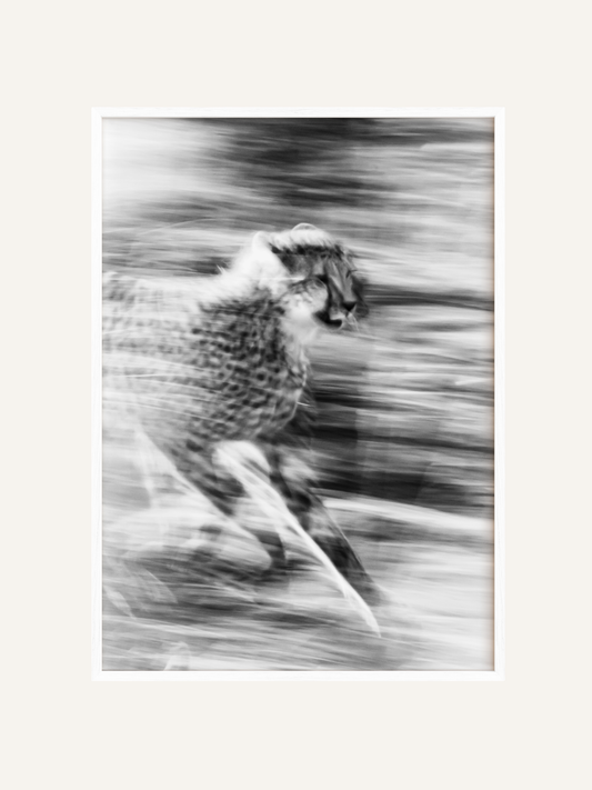 Velocity