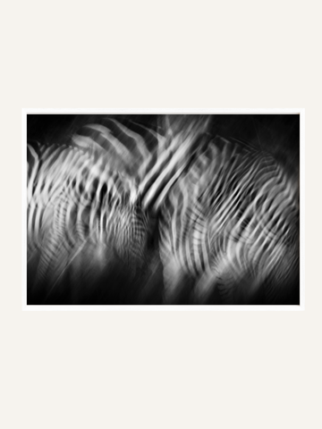 Dazzle I