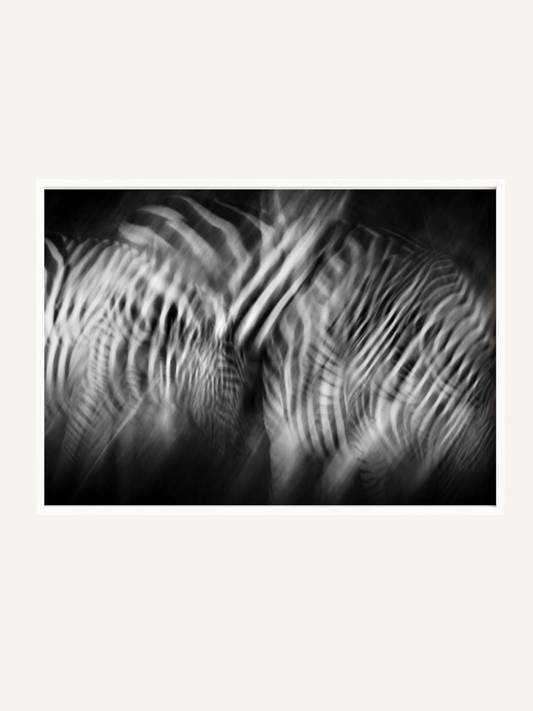 Dazzle I